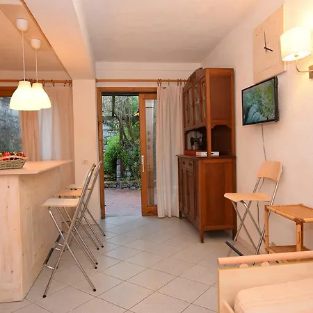 Bouganville